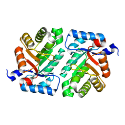 BU of 4xbs by Molmil