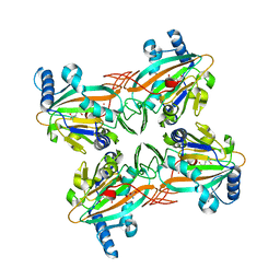 BU of 4xca by Molmil