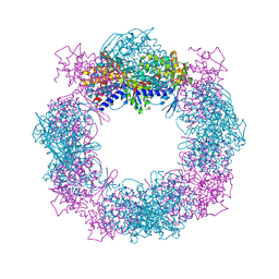 BU of 4xci by Molmil