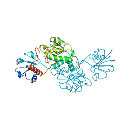 BU of 4xcv by Molmil