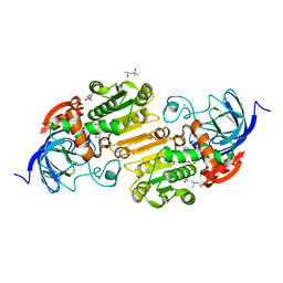 BU of 4xd2 by Molmil