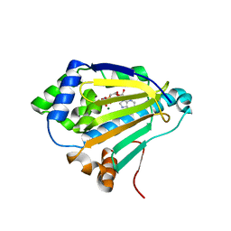 BU of 4xd8 by Molmil