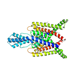 BU of 4xdl by Molmil