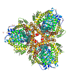 BU of 4xds by Molmil