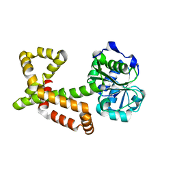 BU of 4xeh by Molmil