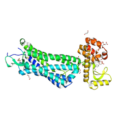 BU of 4xes by Molmil