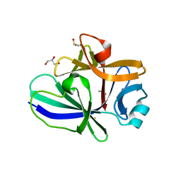 BU of 4xfs by Molmil