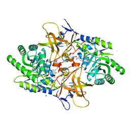 BU of 4xg1 by Molmil