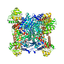 BU of 4xgi by Molmil