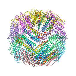 BU of 4xgs by Molmil