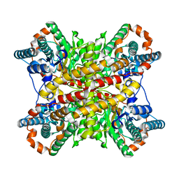 BU of 4xim by Molmil