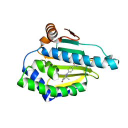 BU of 4xip by Molmil