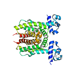 BU of 4xk4 by Molmil