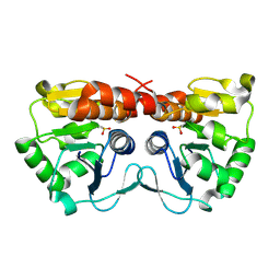 BU of 4xll by Molmil