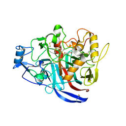 BU of 4xnn by Molmil