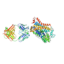 BU of 4xpa by Molmil