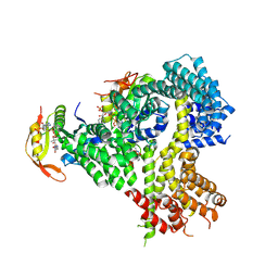 BU of 4xpd by Molmil