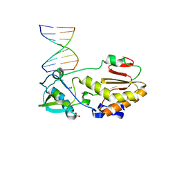 BU of 4xpe by Molmil