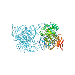 BU of 4xpo by Molmil