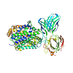 BU of 4xpt by Molmil