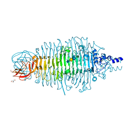 AU of 4xqi by Molmil