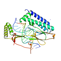 BU of 4xr0 by Molmil