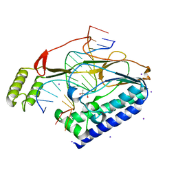 BU of 4xr1 by Molmil