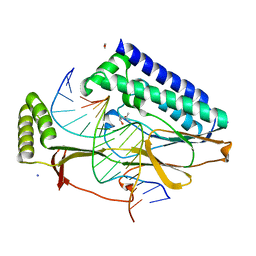 BU of 4xr2 by Molmil