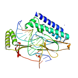 BU of 4xr3 by Molmil