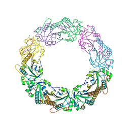 BU of 4xra by Molmil