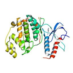 BU of 4xrl by Molmil