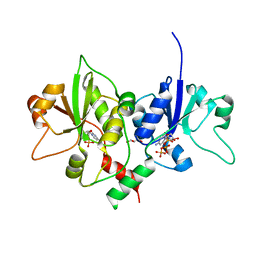 BU of 4xsv by Molmil