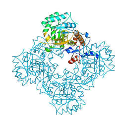 BU of 4xti by Molmil