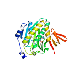 BU of 4xtx by Molmil