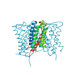 BU of 4xu4 by Molmil