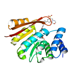 BU of 4xuc by Molmil