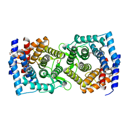 BU of 4xuv by Molmil