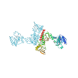 BU of 4xvg by Molmil