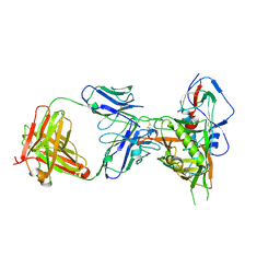 BU of 4xvs by Molmil