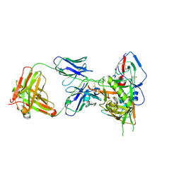 BU of 4xvt by Molmil