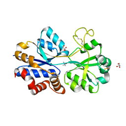 BU of 4xz6 by Molmil