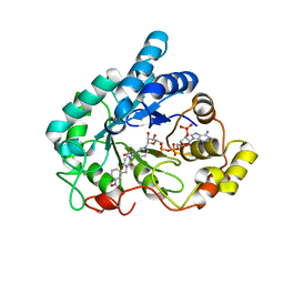 BU of 4xzh by Molmil