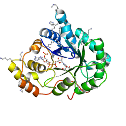 BU of 4xzn by Molmil