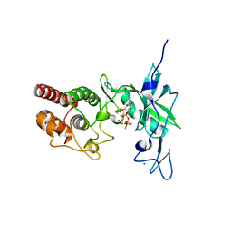 BU of 4y12 by Molmil