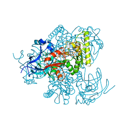 BU of 4y1b by Molmil