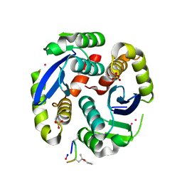 BU of 4y1c by Molmil