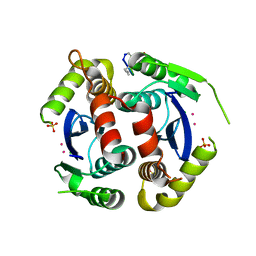 BU of 4y1d by Molmil