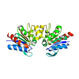 BU of 4y1g by Molmil