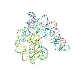 BU of 4y1o by Molmil