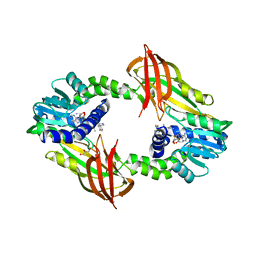 BU of 4y2h by Molmil